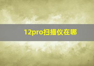 12pro扫描仪在哪