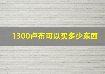 1300卢布可以买多少东西