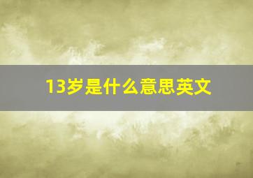 13岁是什么意思英文