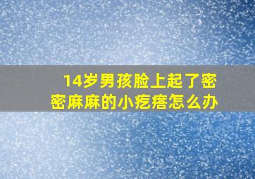 14岁男孩脸上起了密密麻麻的小疙瘩怎么办