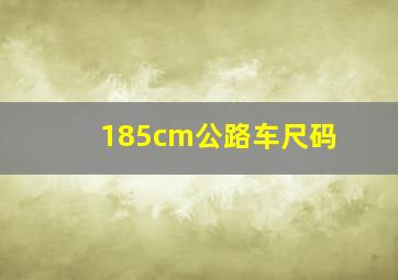 185cm公路车尺码