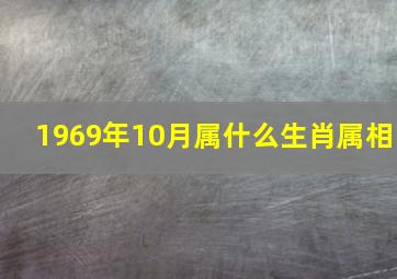 1969年10月属什么生肖属相