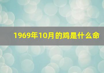 1969年10月的鸡是什么命