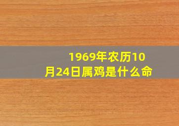 1969年农历10月24日属鸡是什么命