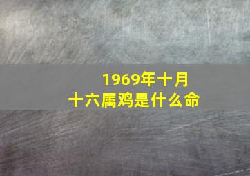 1969年十月十六属鸡是什么命