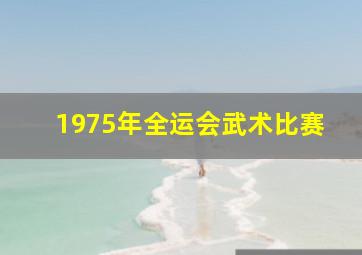 1975年全运会武术比赛