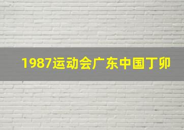 1987运动会广东中国丁卯