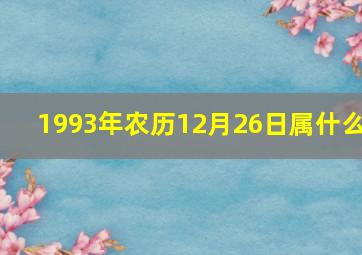 1993年农历12月26日属什么