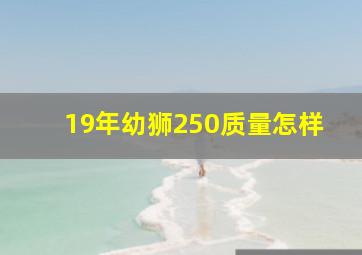 19年幼狮250质量怎样