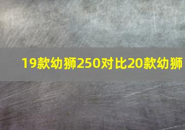 19款幼狮250对比20款幼狮