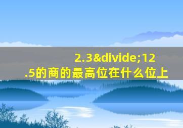 2.3÷12.5的商的最高位在什么位上