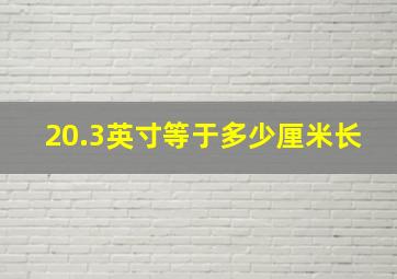 20.3英寸等于多少厘米长