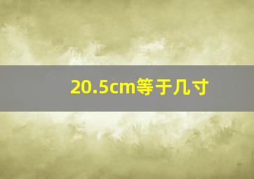 20.5cm等于几寸