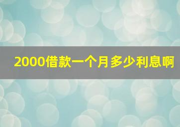 2000借款一个月多少利息啊