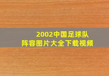 2002中国足球队阵容图片大全下载视频