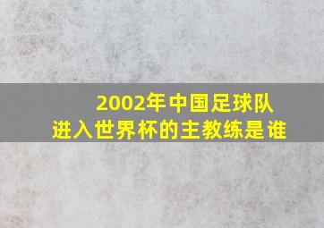 2002年中国足球队进入世界杯的主教练是谁