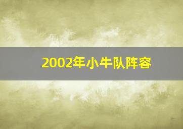 2002年小牛队阵容