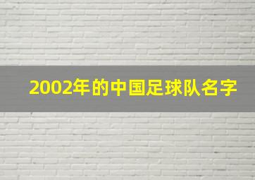 2002年的中国足球队名字