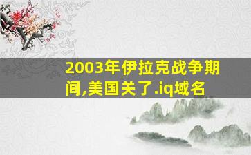 2003年伊拉克战争期间,美国关了.iq域名