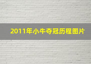 2011年小牛夺冠历程图片