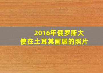 2016年俄罗斯大使在土耳其画展的照片