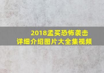 2018孟买恐怖袭击详细介绍图片大全集视频