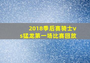 2018季后赛骑士vs猛龙第一场比赛回放