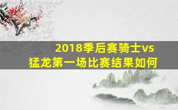 2018季后赛骑士vs猛龙第一场比赛结果如何