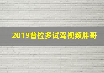 2019普拉多试驾视频胖哥