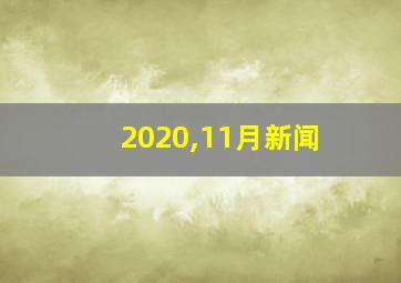 2020,11月新闻