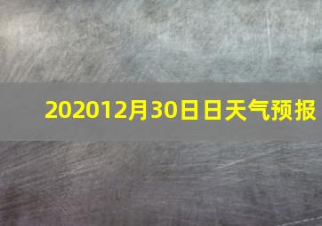 202012月30日日天气预报