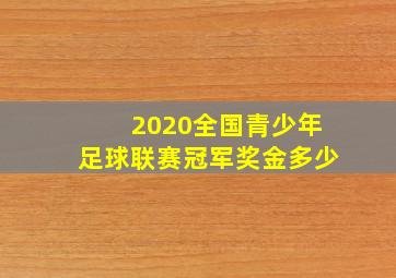 2020全国青少年足球联赛冠军奖金多少