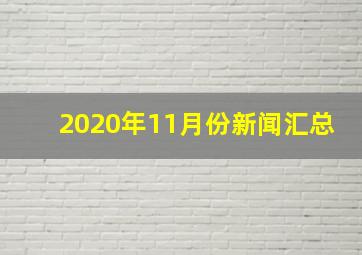 2020年11月份新闻汇总