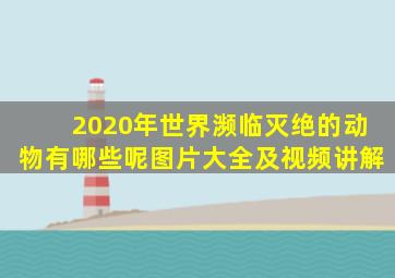 2020年世界濒临灭绝的动物有哪些呢图片大全及视频讲解