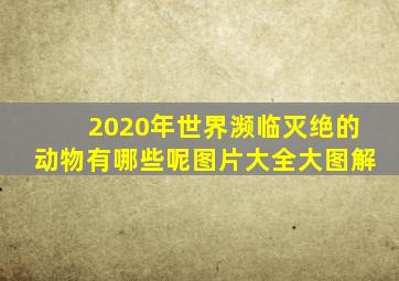 2020年世界濒临灭绝的动物有哪些呢图片大全大图解