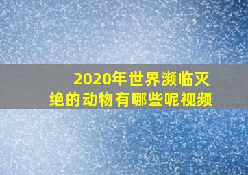 2020年世界濒临灭绝的动物有哪些呢视频