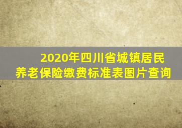 2020年四川省城镇居民养老保险缴费标准表图片查询