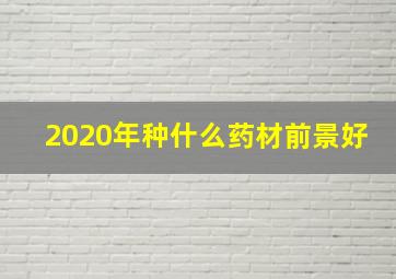 2020年种什么药材前景好