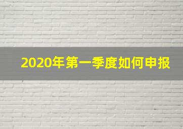 2020年第一季度如何申报