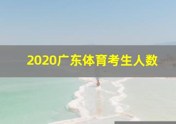 2020广东体育考生人数