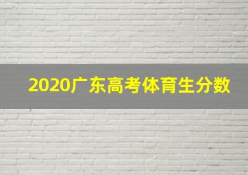 2020广东高考体育生分数