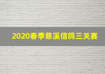 2020春季慈溪信鸽三关赛