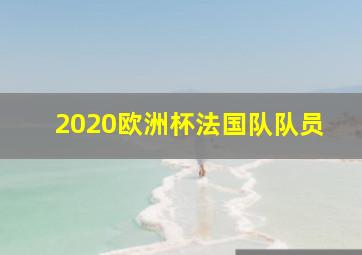 2020欧洲杯法国队队员