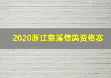 2020浙江慈溪信鸽资格赛