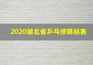 2020湖北省乒乓球锦标赛