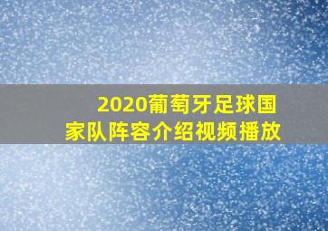 2020葡萄牙足球国家队阵容介绍视频播放