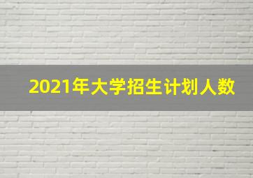 2021年大学招生计划人数