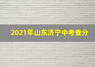 2021年山东济宁中考查分