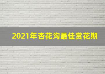 2021年杏花沟最佳赏花期