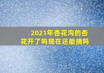 2021年杏花沟的杏花开了吗现在还能摘吗